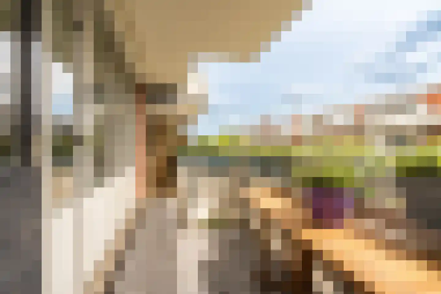 Havikskruid 12 Diemen thumbnail 5