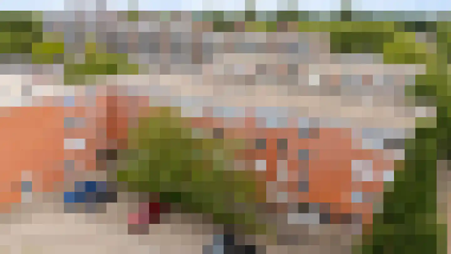 Havikskruid 12 Diemen thumbnail 50