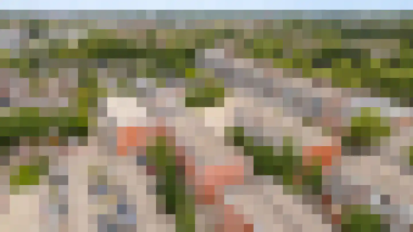 Havikskruid 12 Diemen thumbnail 51