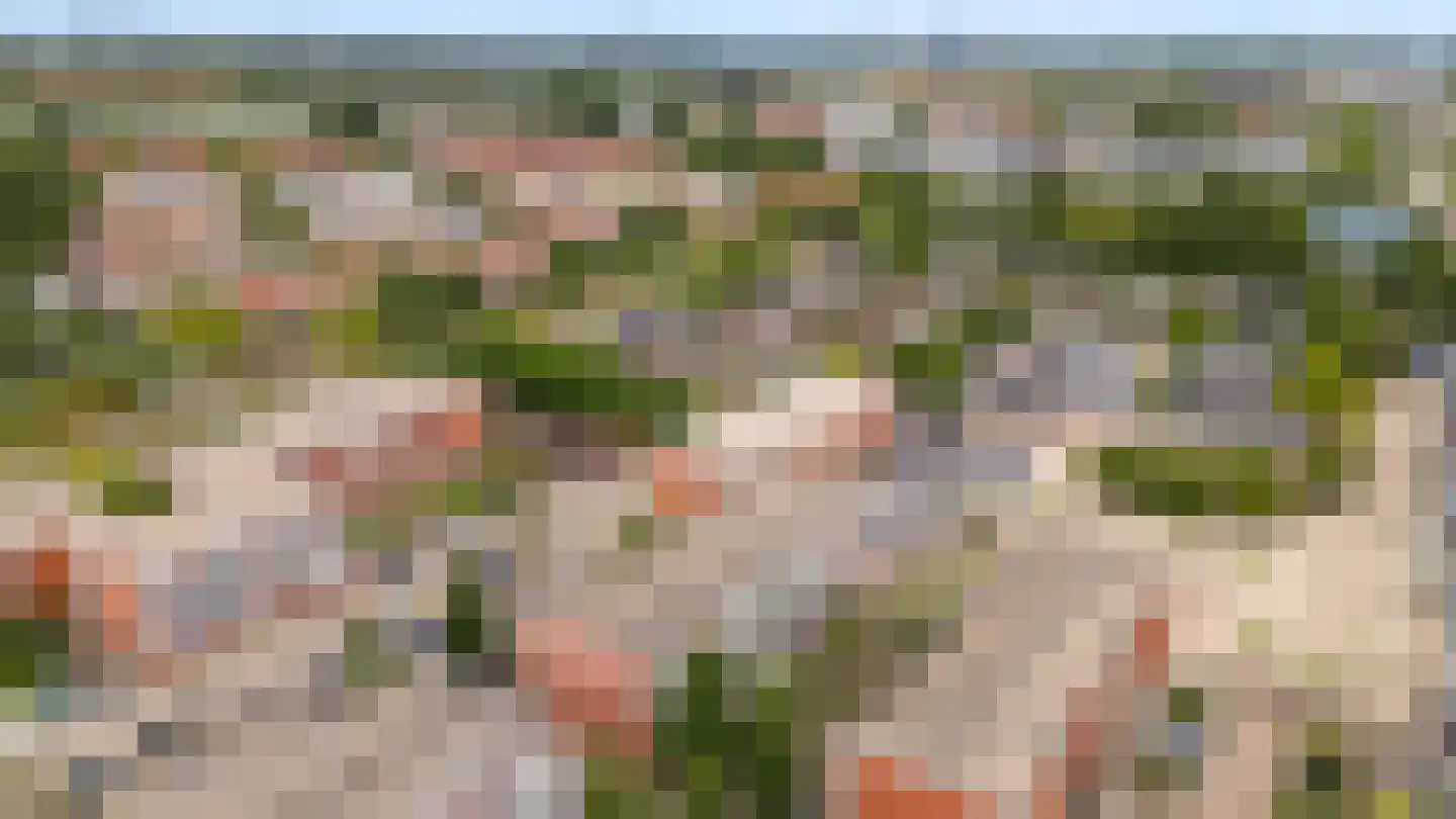 Havikskruid 12 Diemen thumbnail 52