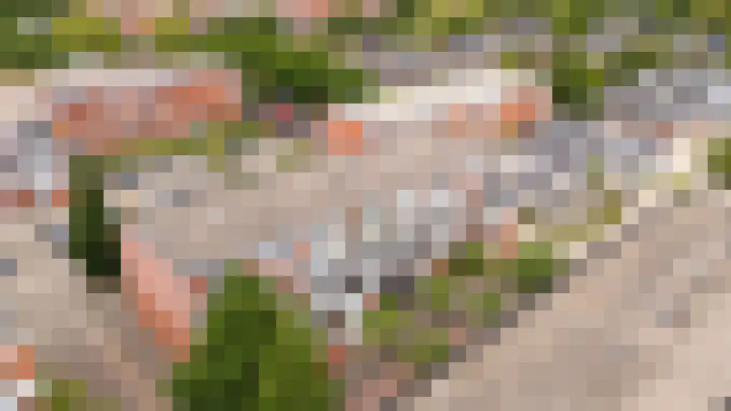 Havikskruid 12 Diemen thumbnail 53