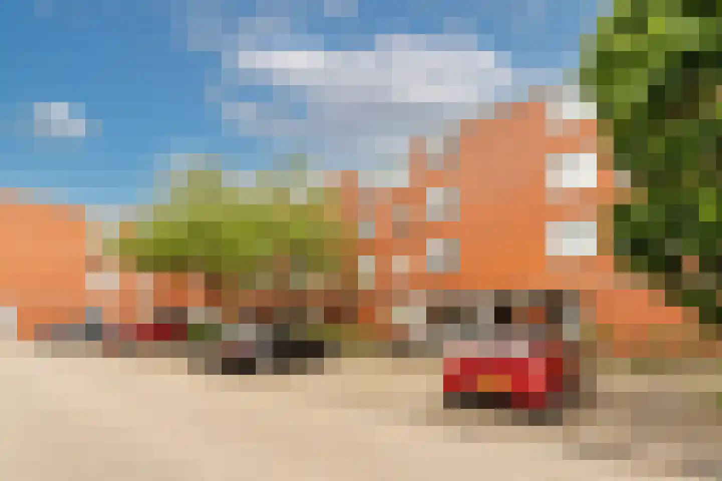 Havikskruid 12 Diemen thumbnail 6