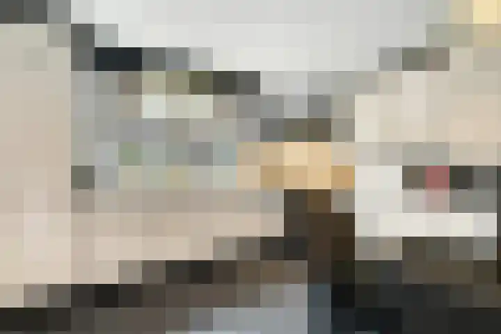 Havikskruid 13 Nijverdal thumbnail 10