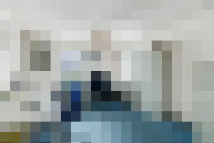 Havikskruid 13 Nijverdal thumbnail 12