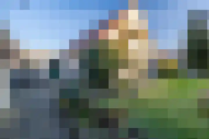 Havikskruid 13 Nijverdal thumbnail 22