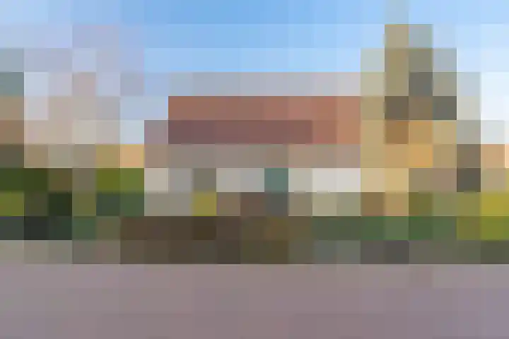 Havikskruid 13 Nijverdal thumbnail 24