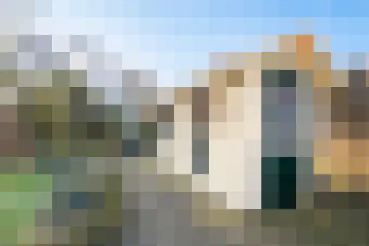 Havikskruid 13 Nijverdal thumbnail 25