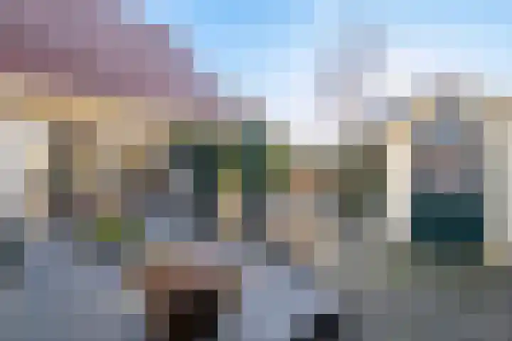 Havikskruid 13 Nijverdal thumbnail 26