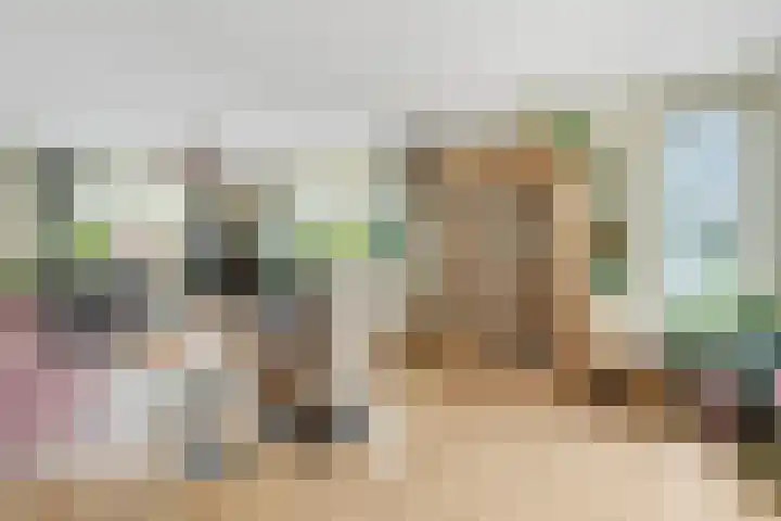 Havikskruid 13 Nijverdal thumbnail 6