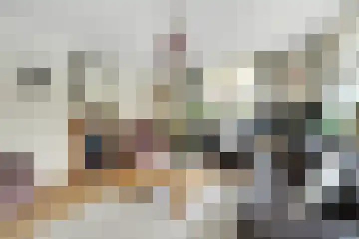 Havikskruid 13 Nijverdal thumbnail 7