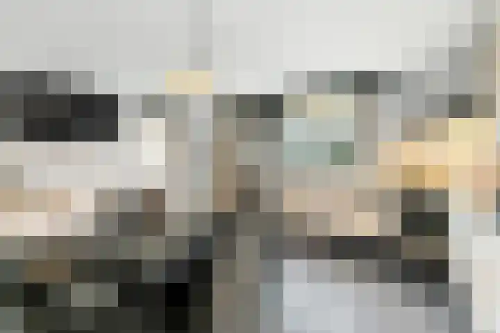 Havikskruid 13 Nijverdal thumbnail 9