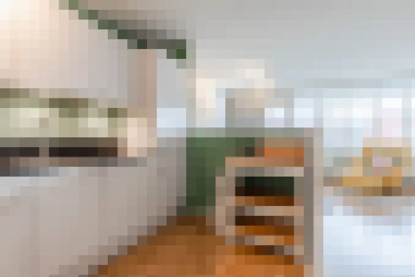 Havikskruid 133 Diemen thumbnail 12