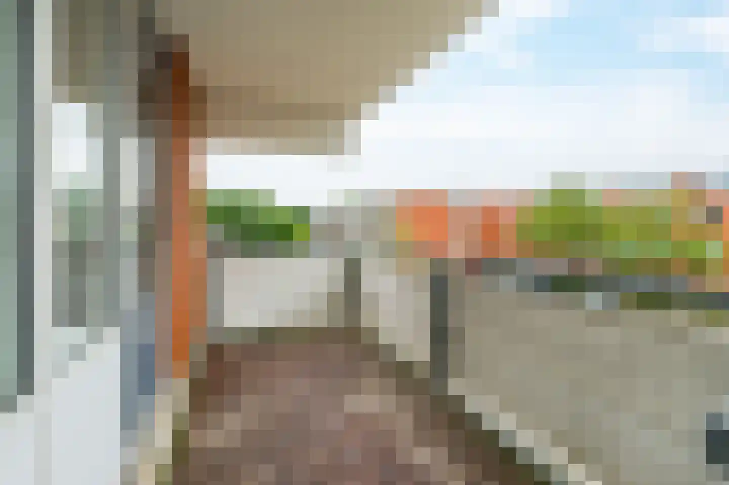 Havikskruid 133 Diemen thumbnail 12