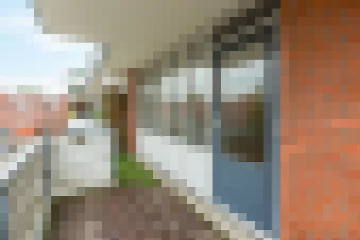 Havikskruid 133 Diemen thumbnail 14