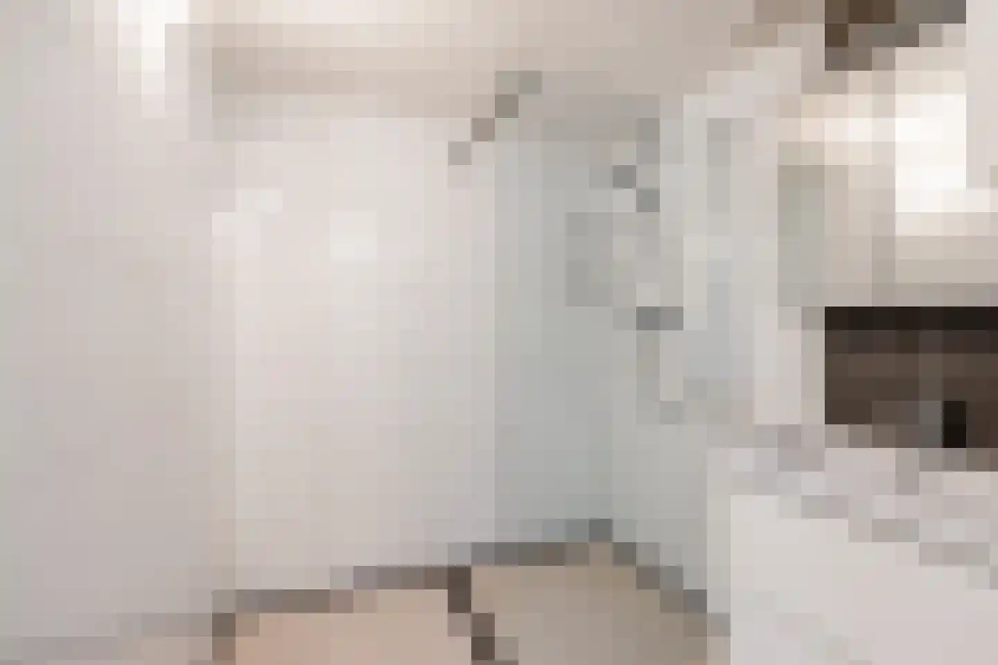 Havikskruid 133 Diemen thumbnail 23