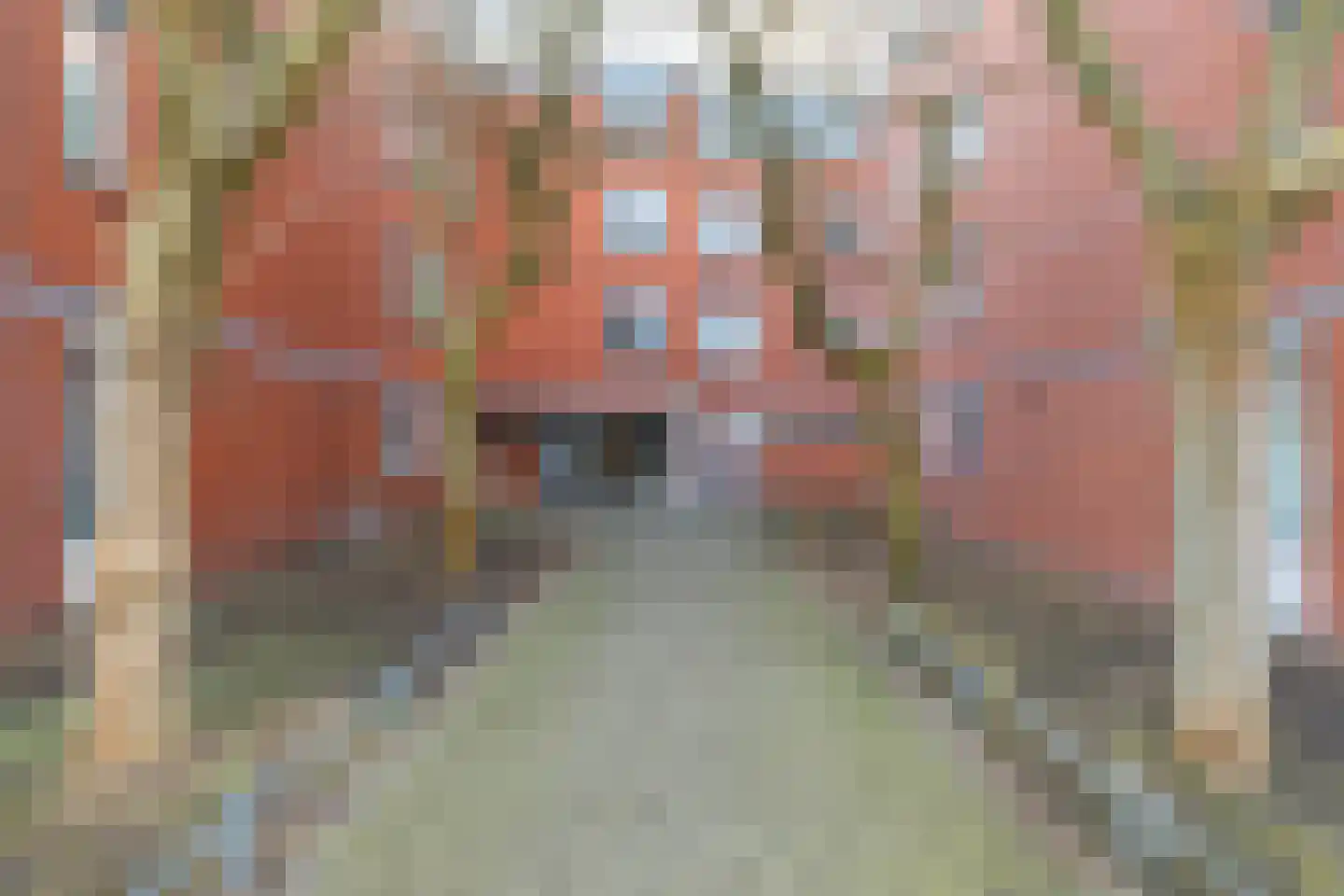 Havikskruid 133 Diemen thumbnail 28