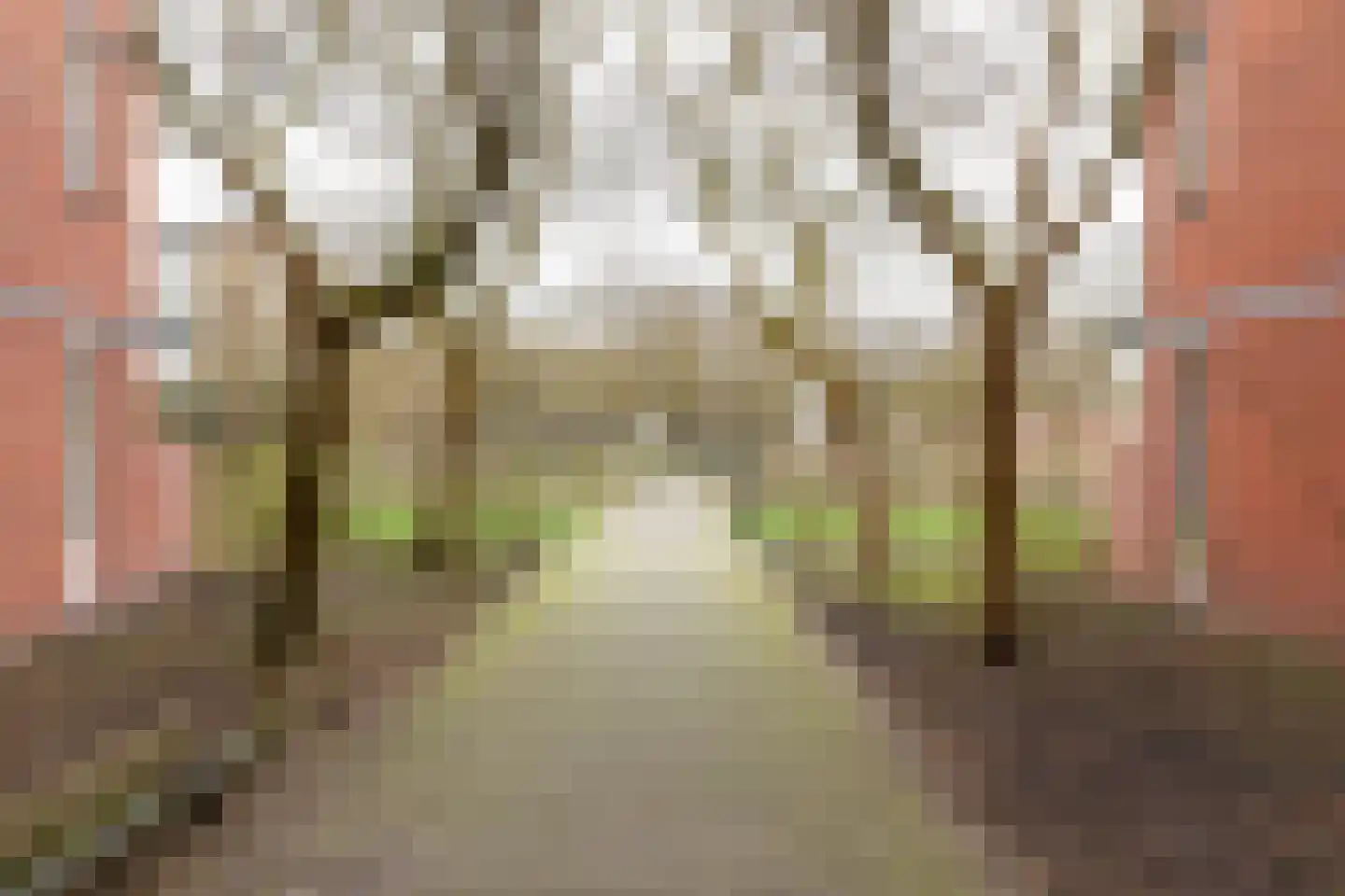 Havikskruid 133 Diemen thumbnail 29