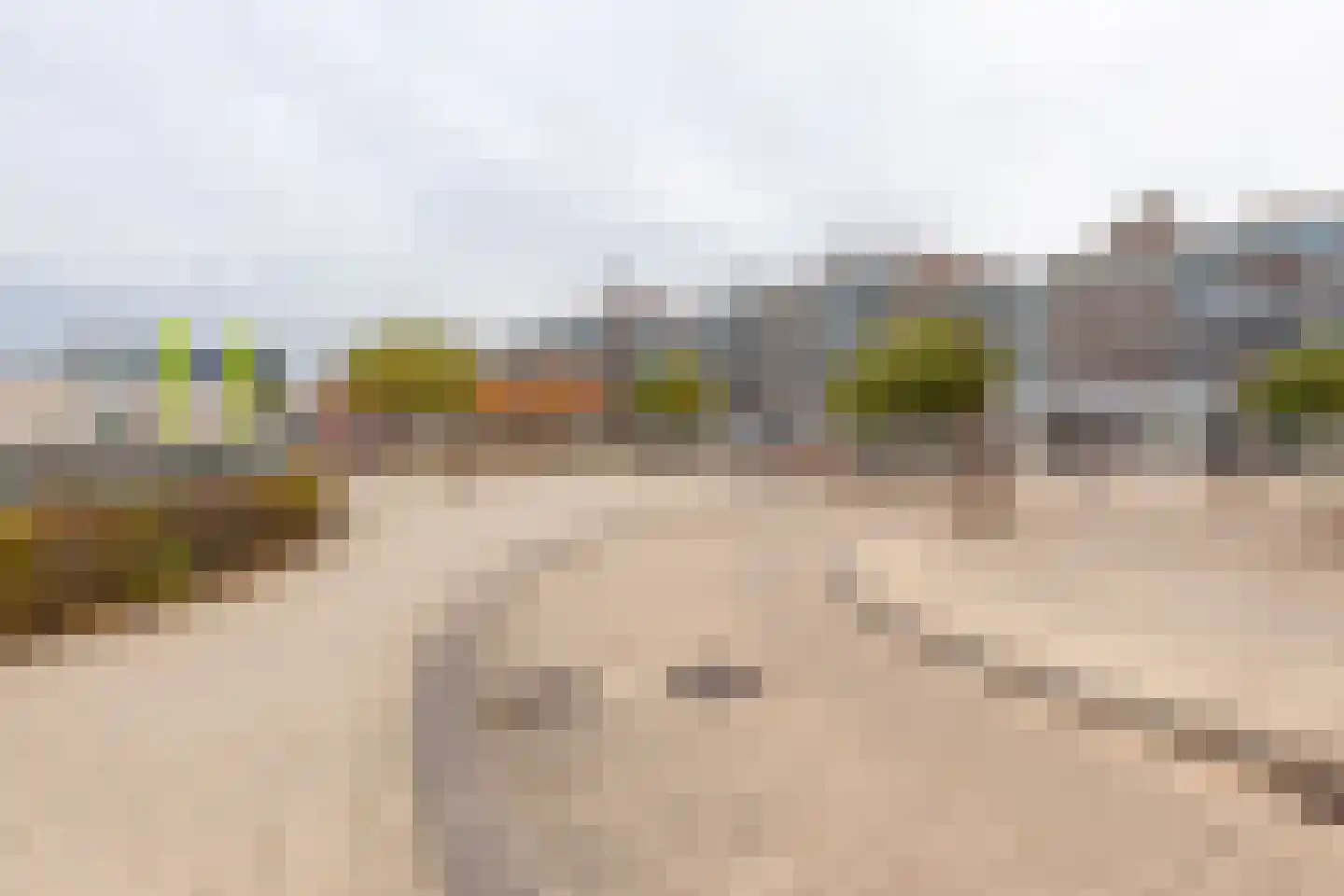 Havikskruid 133 Diemen thumbnail 34