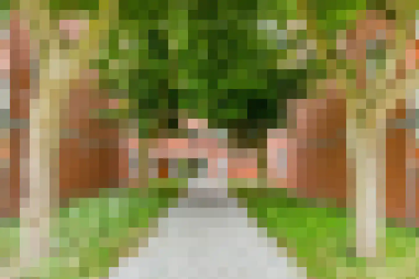 Havikskruid 133 Diemen thumbnail 34