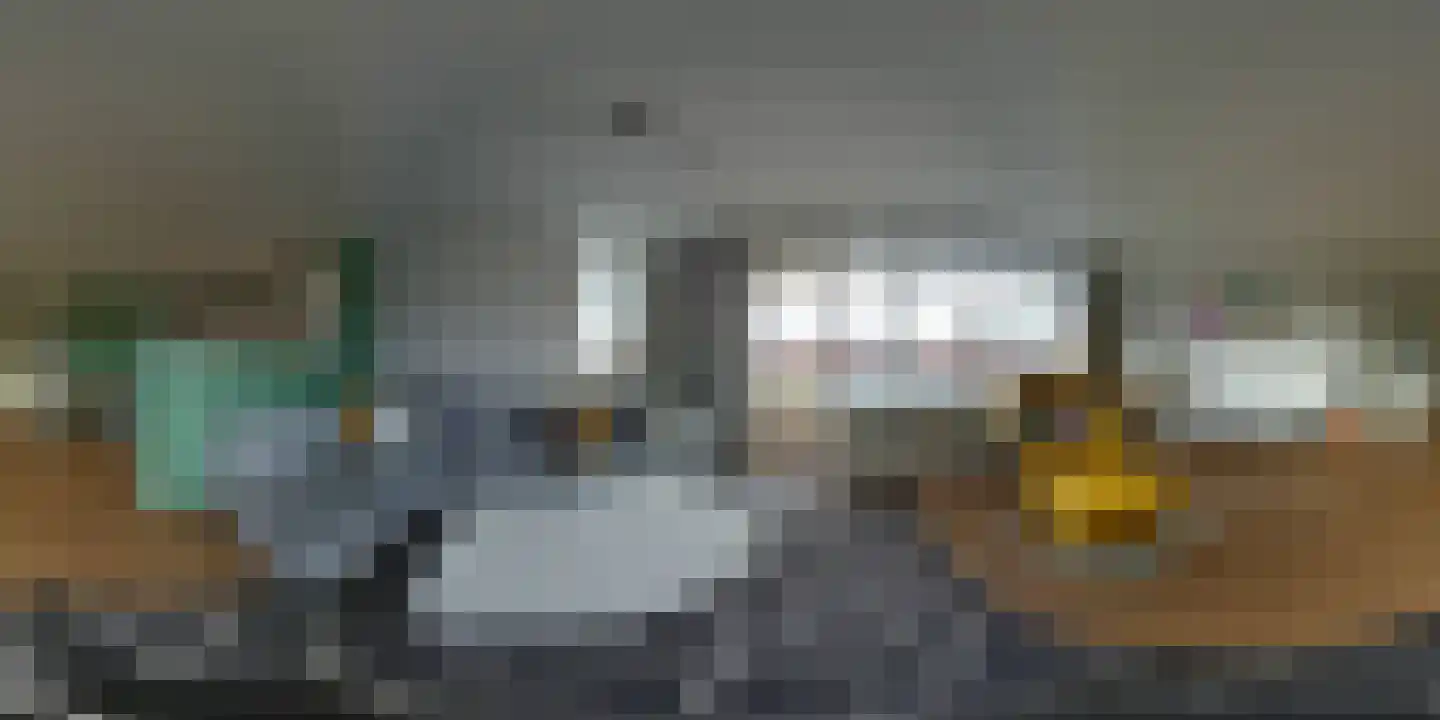 Havikskruid 133 Diemen thumbnail 38