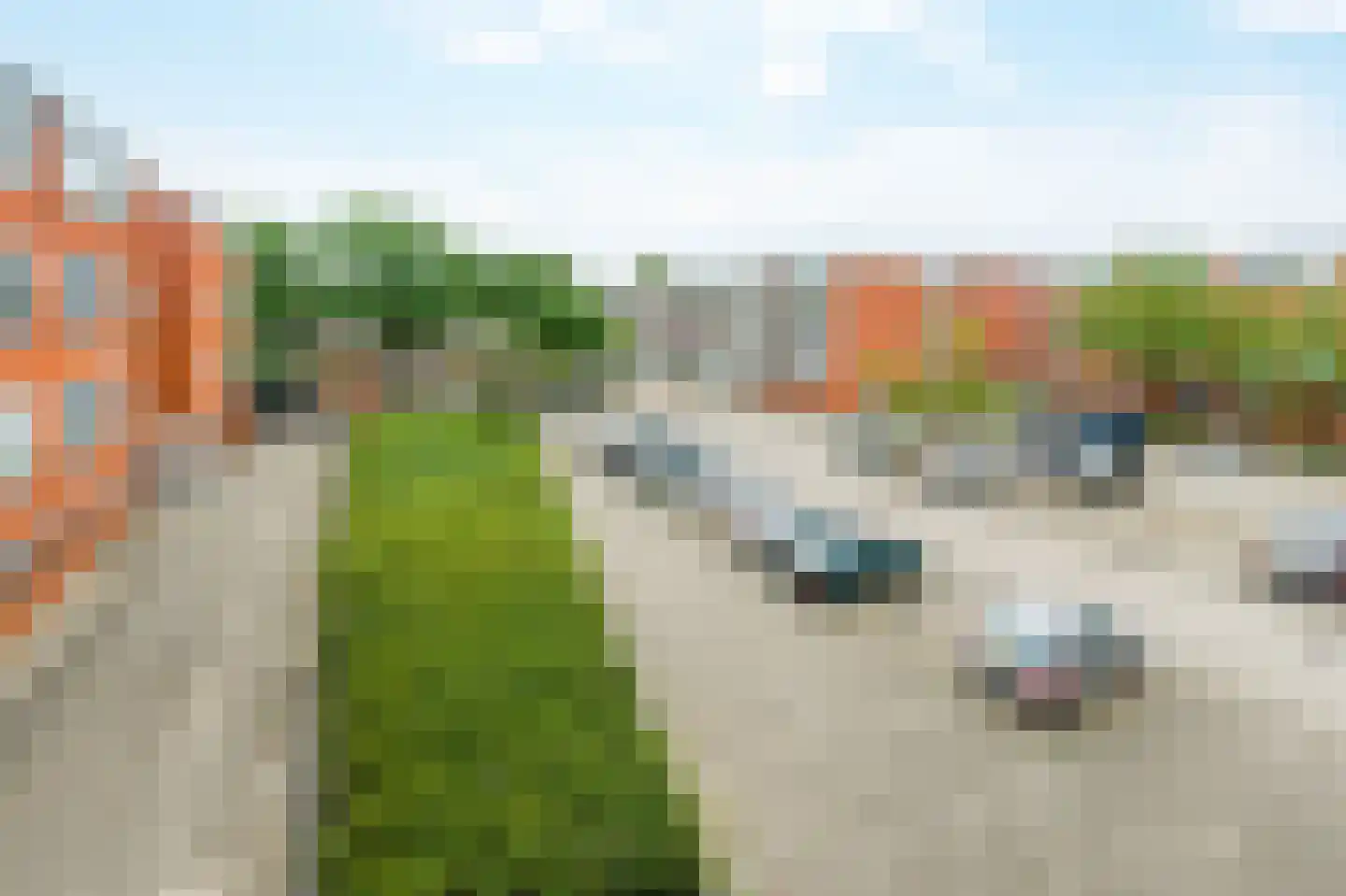 Havikskruid 133 Diemen thumbnail 39
