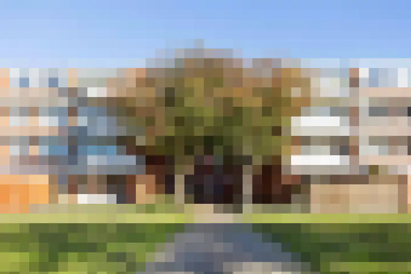 Havikskruid 133 Diemen thumbnail 4
