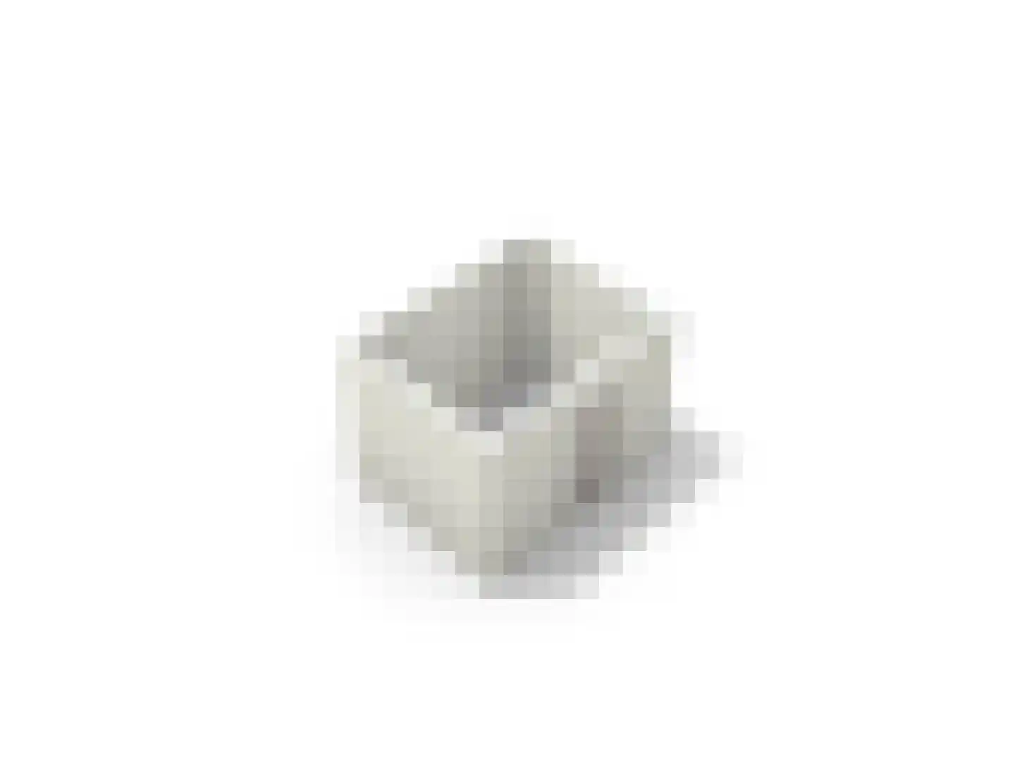 Havikskruid 133 Diemen thumbnail 43