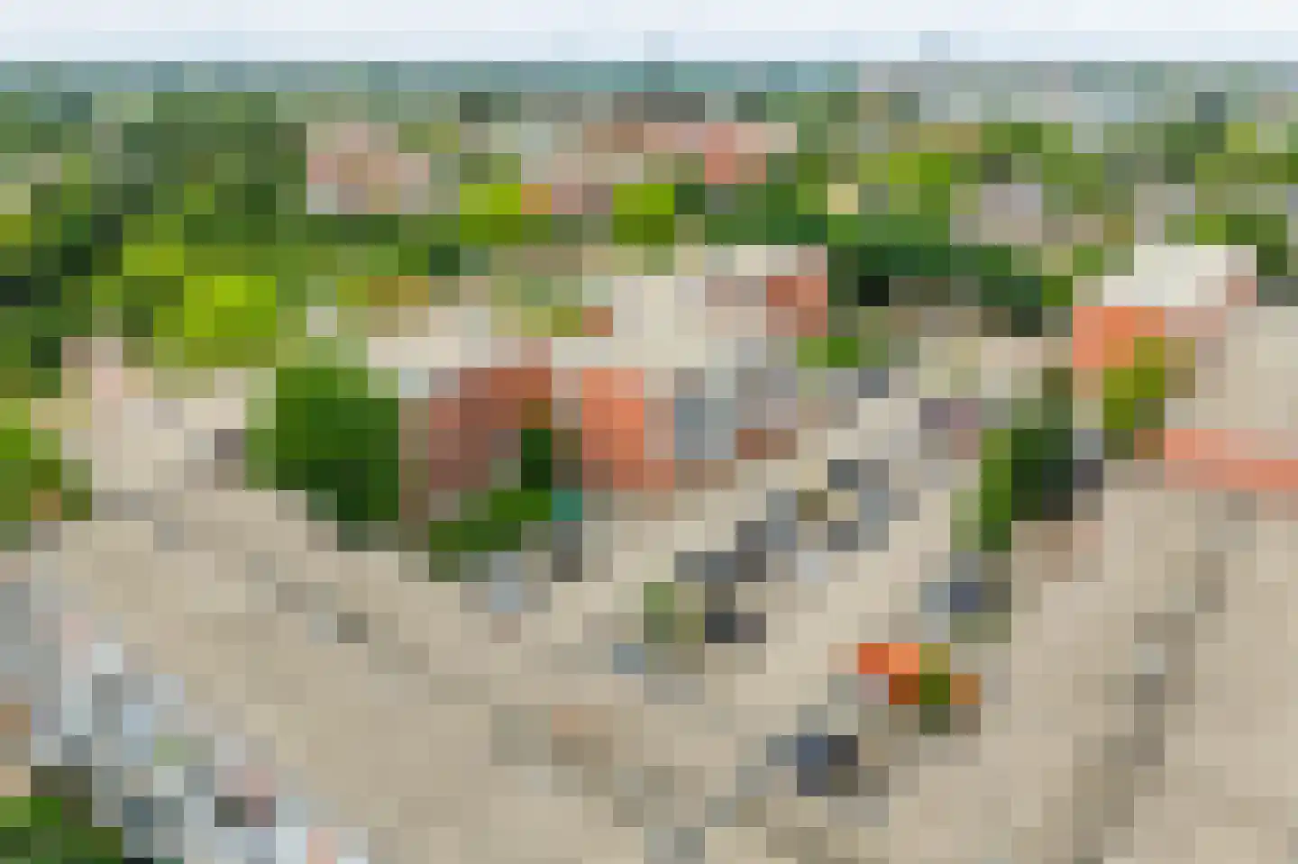 Havikskruid 133 Diemen thumbnail 47