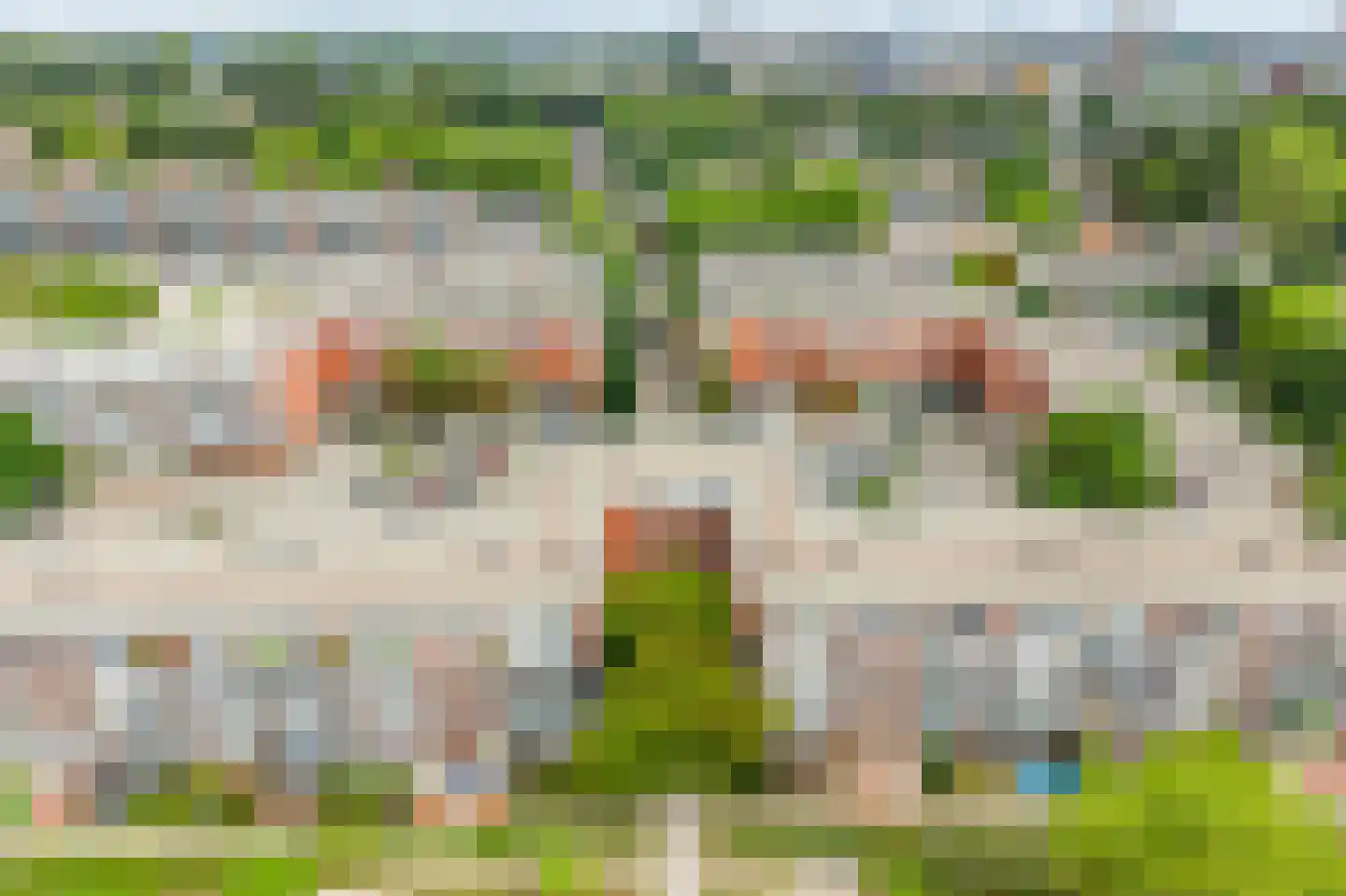Havikskruid 133 Diemen thumbnail 50