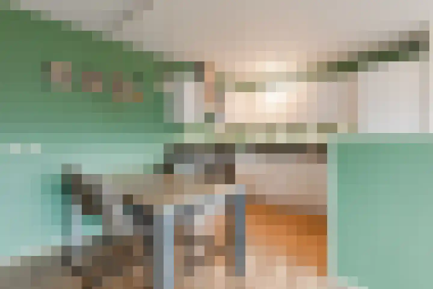 Havikskruid 133 Diemen thumbnail 9