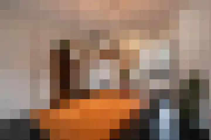 Havikskruid 14 Berghem thumbnail 10