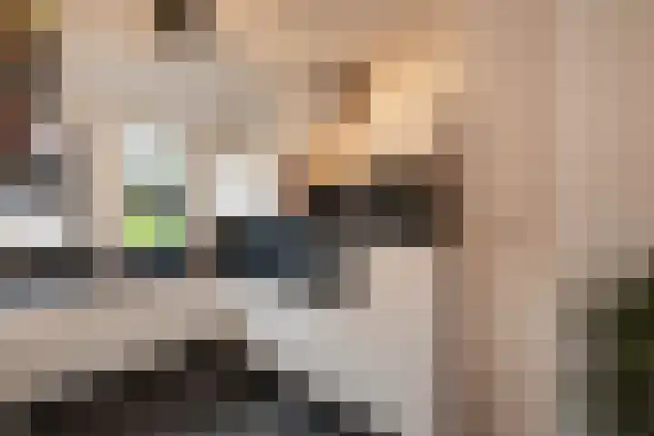 Havikskruid 14 Berghem thumbnail 11