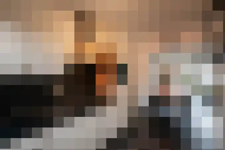 Havikskruid 14 Berghem thumbnail 12