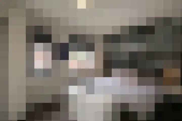 Havikskruid 14 Berghem thumbnail 14