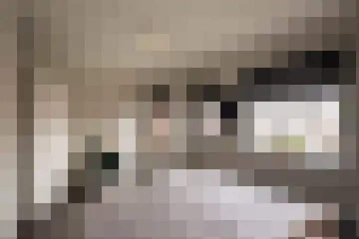 Havikskruid 14 Berghem thumbnail 15