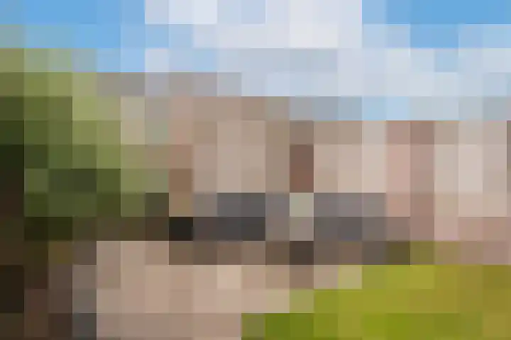 Havikskruid 14 Berghem thumbnail 21