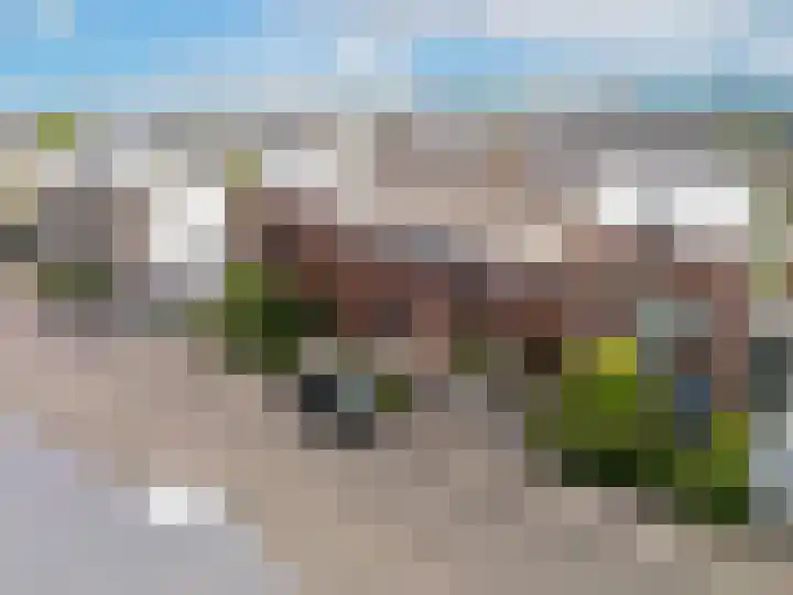 Havikskruid 14 Berghem thumbnail 23