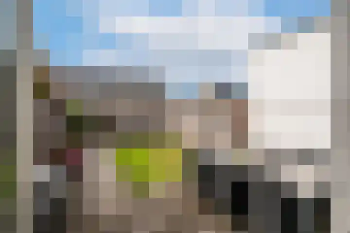 Havikskruid 14 Berghem thumbnail 4