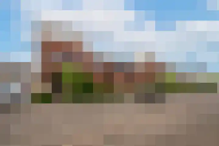 Havikskruid 14 Berghem thumbnail 5