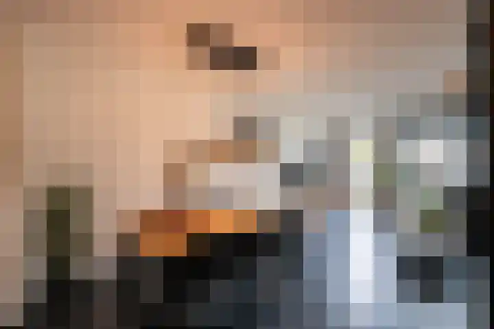 Havikskruid 14 Berghem thumbnail 7