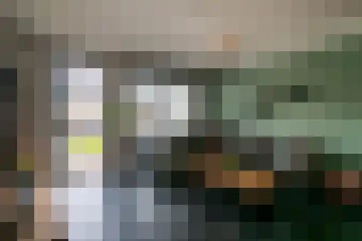 Havikskruid 14 Berghem thumbnail 8