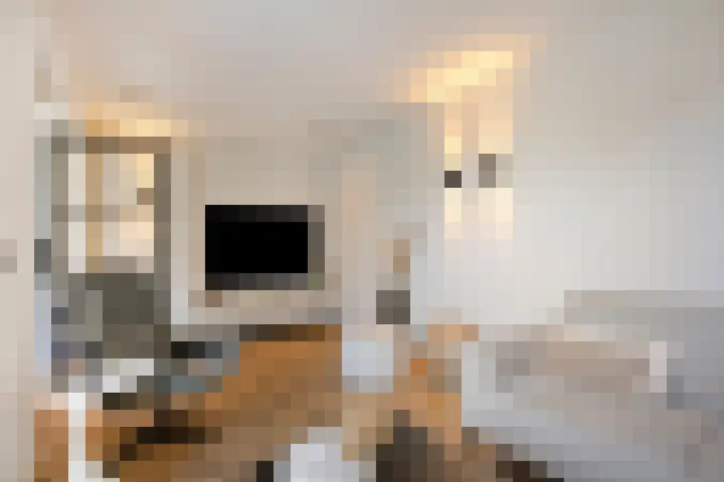 Havikskruid 14 Boxmeer thumbnail 10
