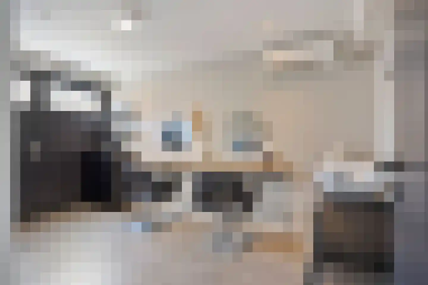 Havikskruid 14 Boxmeer thumbnail 11
