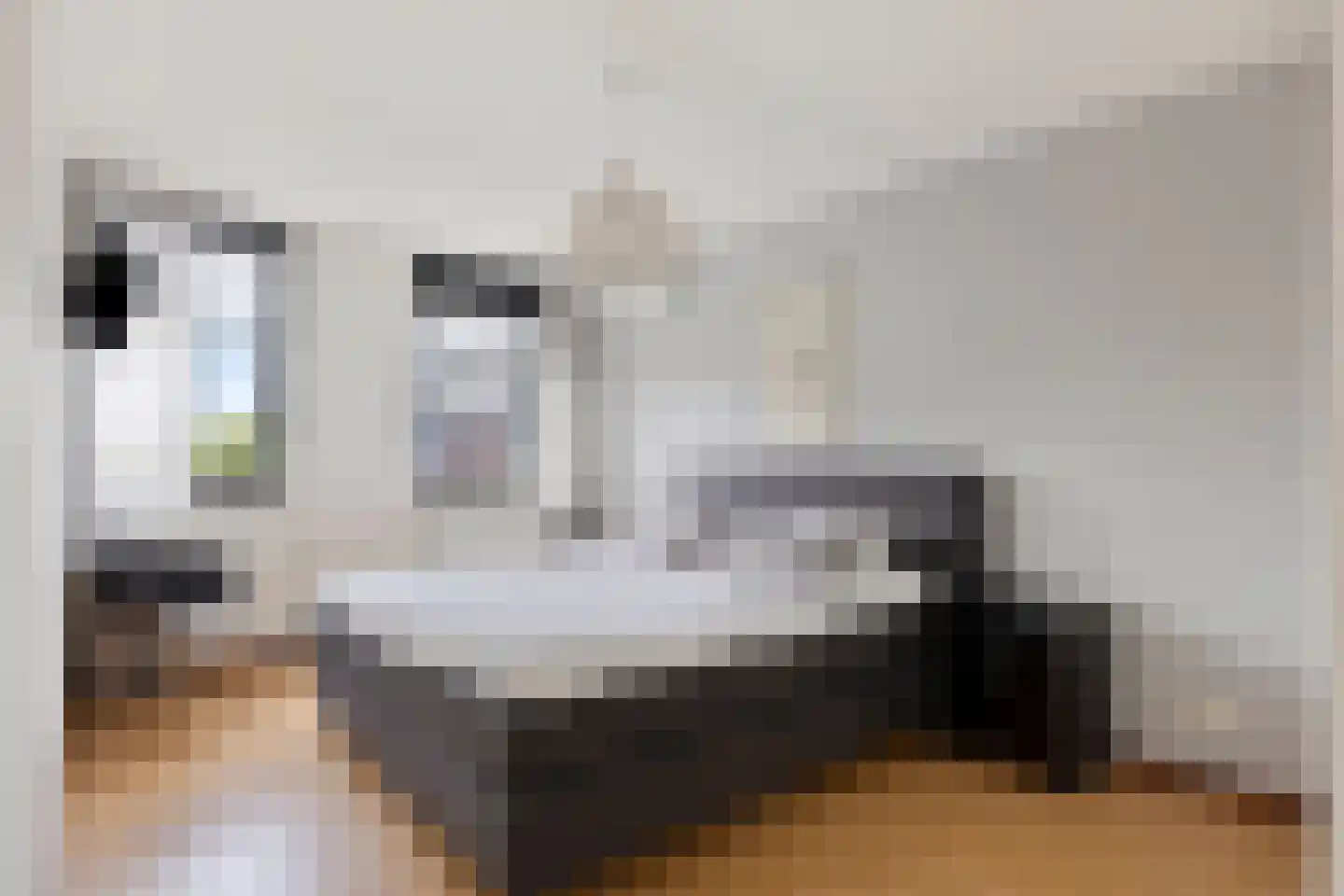 Havikskruid 14 Boxmeer thumbnail 13