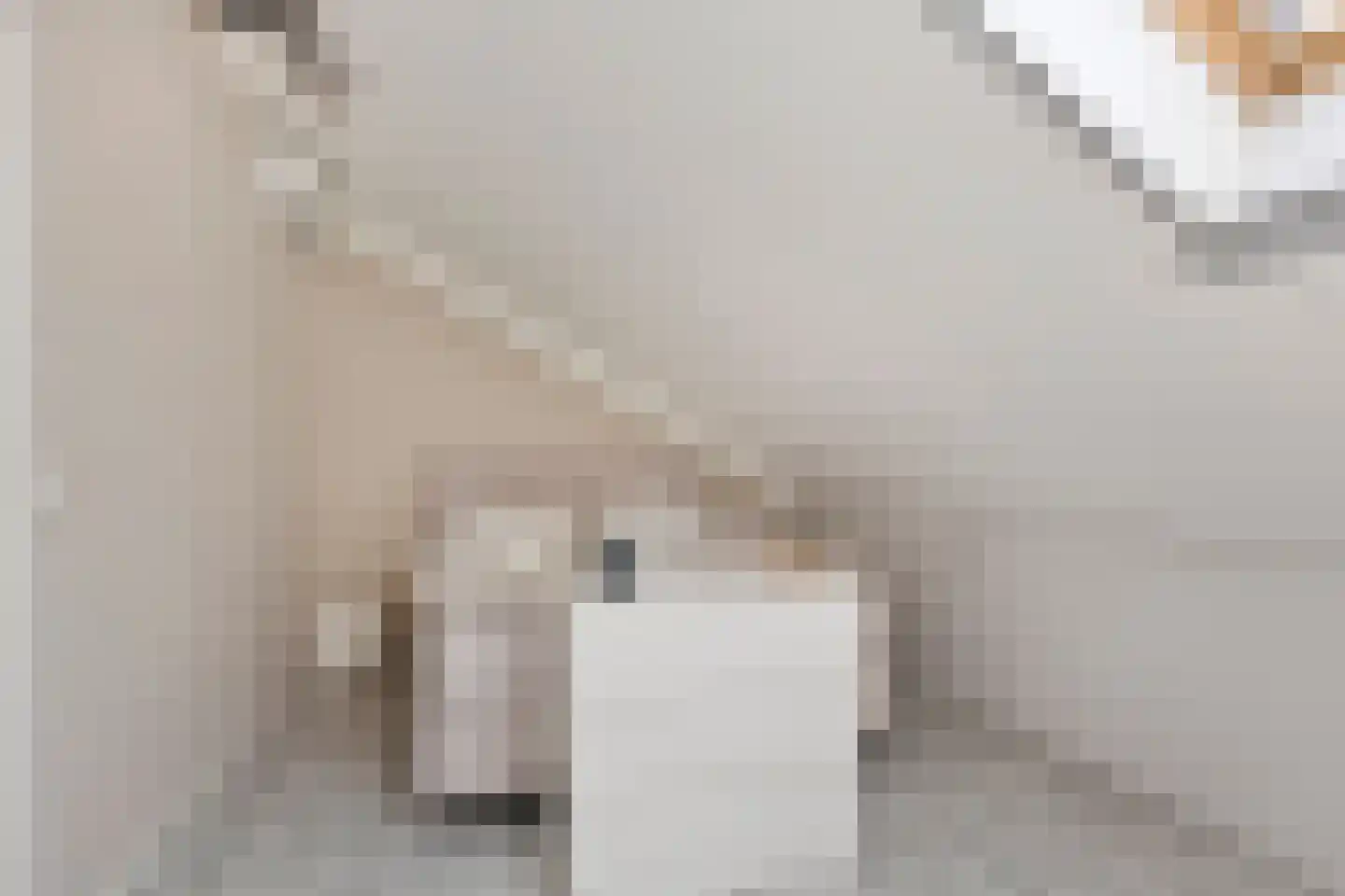 Havikskruid 14 Boxmeer thumbnail 20