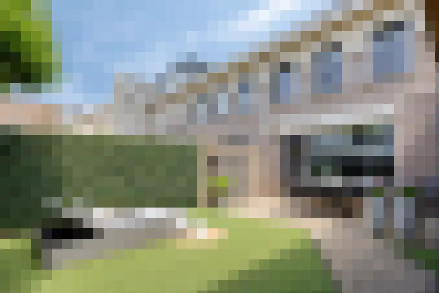 Havikskruid 14 Boxmeer thumbnail 23