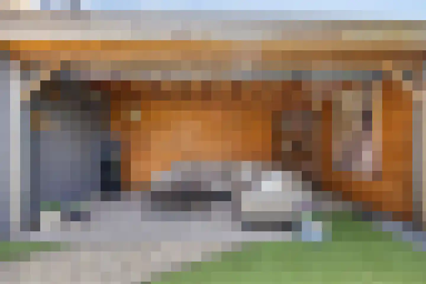 Havikskruid 14 Boxmeer thumbnail 24