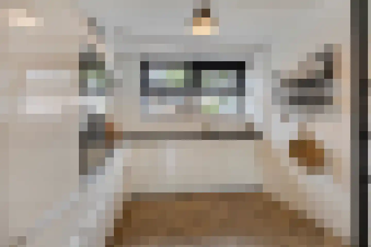 Havikskruid 14 Boxmeer thumbnail 5