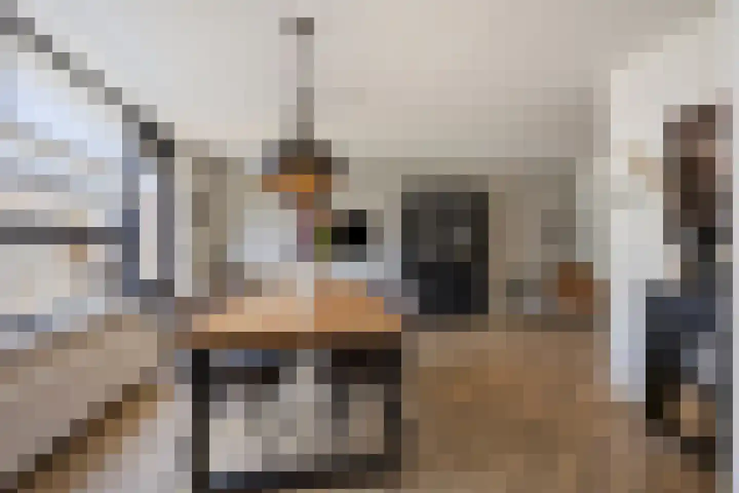 Havikskruid 14 Boxmeer thumbnail 7