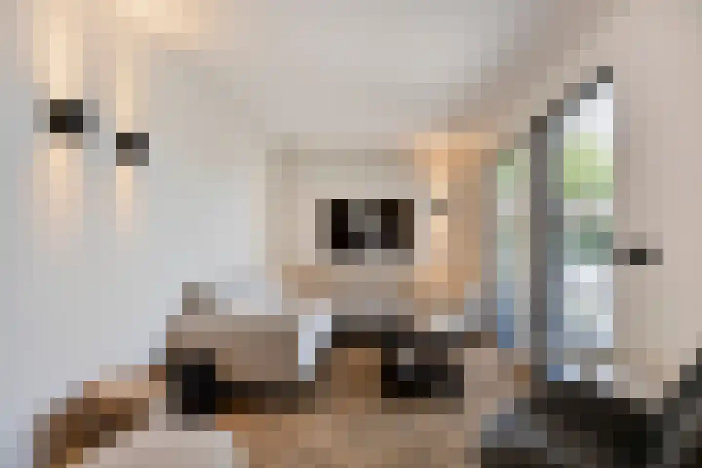 Havikskruid 14 Boxmeer thumbnail 9